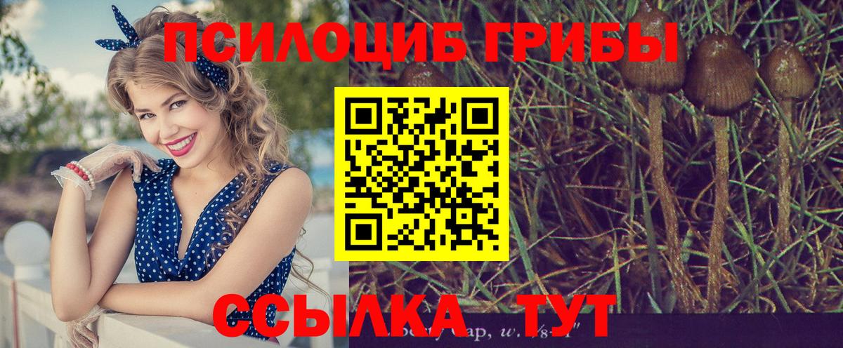 наркота  Галлюциногенные грибы мухоморы  Псилоцибиновые грибы Psilocybine cubensis  Вход с VPN  Белебей 